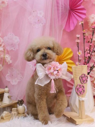 20250305ココアくん